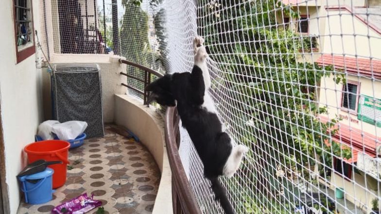 Pets Safety Nets In Bangalore Call 7382427357 for Pets Net Fixing